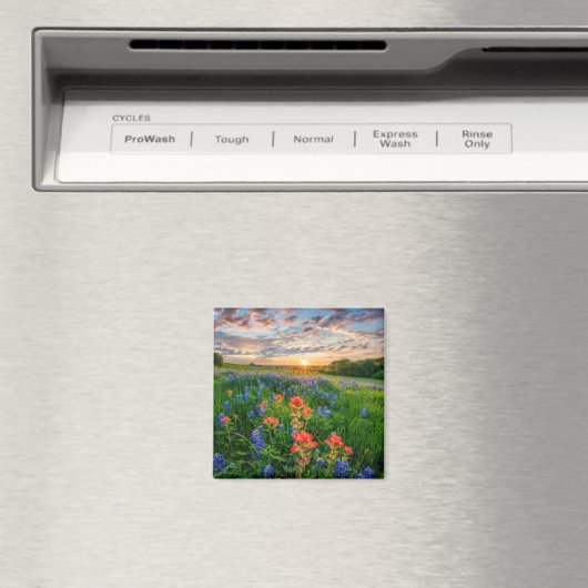 Aimant Fleurs | Texas Bluebonnets & Indian Paintbrush (In Situ (Lave-vaisselle))