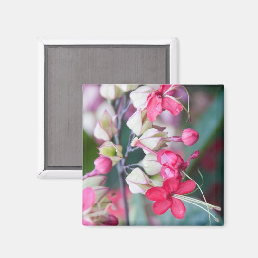 Aimant Fleurs tropicales roses et blanches rouges (Recto/Verso)