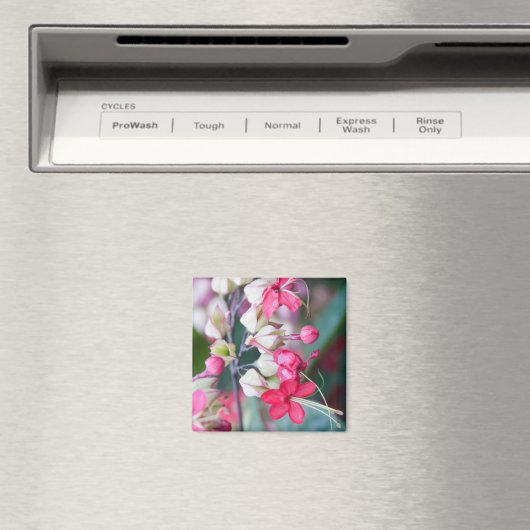 Aimant Fleurs tropicales roses et blanches rouges (In Situ (Lave-vaisselle))