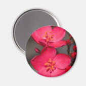 Aimant Fleurs tropicales rouges et roses de Fidji (Recto/Verso)