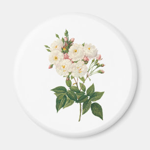 Aimant Fleurs Vintage Floral Blush Noisette Rose Redoute