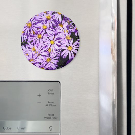Aimant - fleurs violettes (In situ (réfrigérateur))