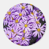 Aimant - fleurs violettes (Devant)