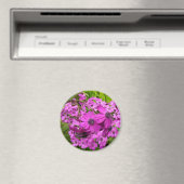 Aimant Fleurs violettes de San Francisco (In Situ (Lave-vaisselle))