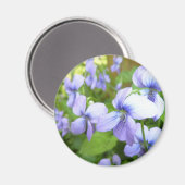 Aimant Fleurs violettes du jardin (Recto/Verso)