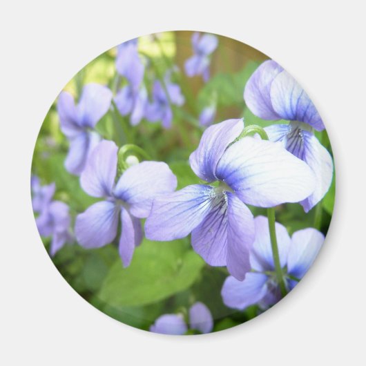 Aimant Fleurs violettes du jardin (Devant)