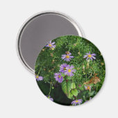 Aimant Fleurs violettes et jaunes (Recto/Verso)
