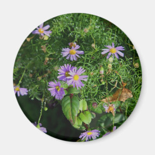 Aimant Fleurs violettes et jaunes