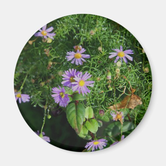 Aimant Fleurs violettes et jaunes (Devant)