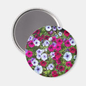Aimant Fleurs violettes et lavande : (Recto/Verso)