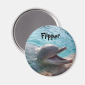 Aimant Flipper (Recto/Verso)