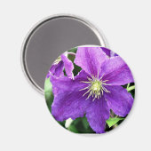 Aimant Flirté (Recto/Verso)