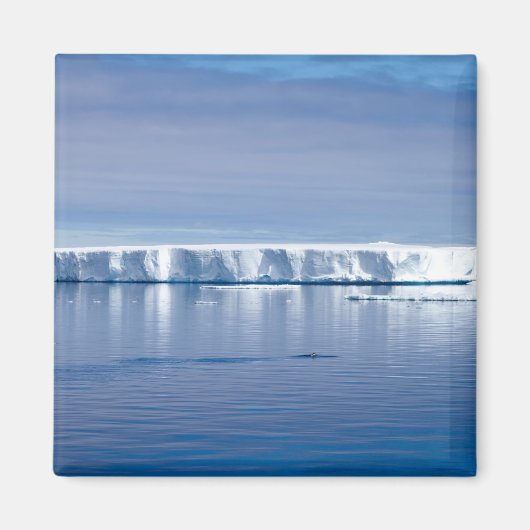 Aimant Floating iceberg (Devant)