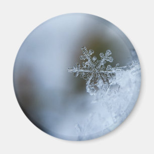 Aimant Flocon de neige Icy