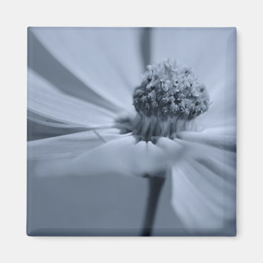 Aimant floral (Devant)