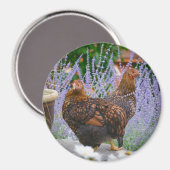 Aimant floral de poulet (Recto/Verso)