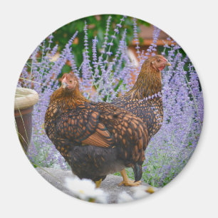 Aimant floral de poulet