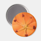 Aimant Floral Lily orange (Recto/Verso)