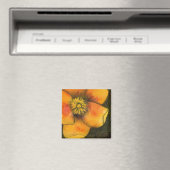 Aimant floral n° 1 (In Situ (Lave-vaisselle))