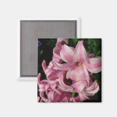 Aimant Floral Pink Hyacinth (Recto/Verso)