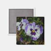 Aimant Floral Purple and White Pansies (Recto/Verso)