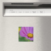 Aimant floral rose (In Situ (Lave-vaisselle))