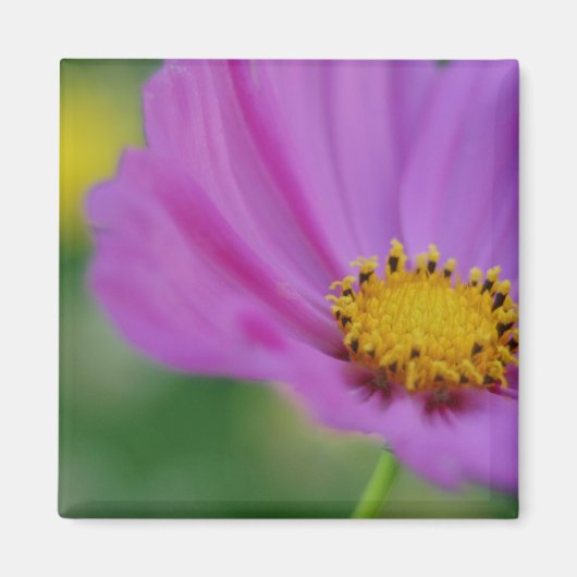 Aimant floral rose (Devant)