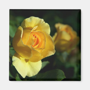Aimant Floral rose jaune