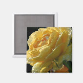 Aimant Floral rose jaune 6 (Recto/Verso)