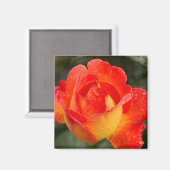 Aimant Floral Rose orange (Recto/Verso)