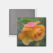 Aimant Floral Rose orange 2 (Recto/Verso)