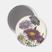 Aimant Floral vintage, Fleurs d'Aster Violet Antique (Recto/Verso)