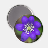 Aimant floral violet brillant (Recto/Verso)