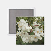 Aimant Flore de Bégonia blanche tropicale (Recto/Verso)