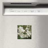 Aimant Flore de Bégonia blanche tropicale (In Situ (Lave-vaisselle))