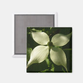 Aimant Flore printanière du Dogwood illuminé (Recto/Verso)
