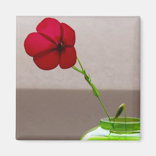 Aimant Flore rouge (Devant)