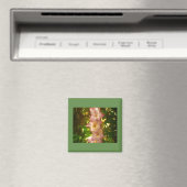 Aimant Flores de fleurs roses en hausse (In Situ (Lave-vaisselle))