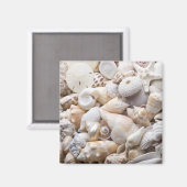 Aimant Florida Sea Shell Arrière - plan - Beach Shells Cu (Recto/Verso)