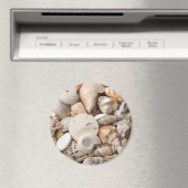 Aimant Florida Sea Shell Arrière - plan - Beach Shells Cu (In Situ (Lave-vaisselle))