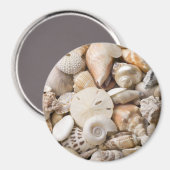 Aimant Florida Sea Shell Arrière - plan - Beach Shells Cu (Recto/Verso)