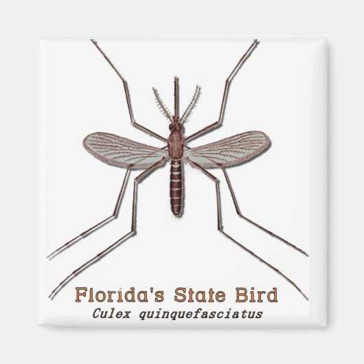 Aimant Florida State Bird (Devant)