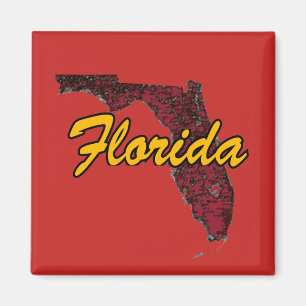Aimant Floride