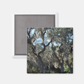 Aimant Floride Espagnol Moss (Recto/Verso)