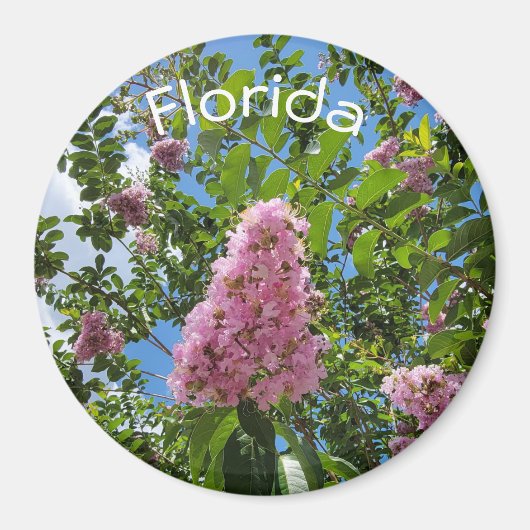 Aimant Floride fleurit (Devant)