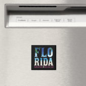Aimant Floride, Miami Beach (In Situ (Lave-vaisselle))