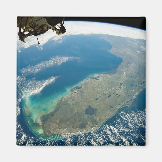 Aimant Floride Oblique, Sur La Côte Sud-Est (Devant)