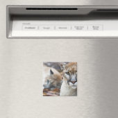 Aimant Floride Panther (In Situ (Lave-vaisselle))