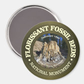 Aimant Florissant Fossil Beds (NM) (Recto/Verso)