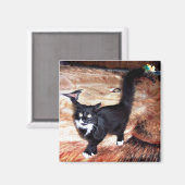 AIMANT FLOSSIE (Recto/Verso)